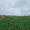 TEREN CASA/ MOGOSESTI GIURGIU thumb 2
